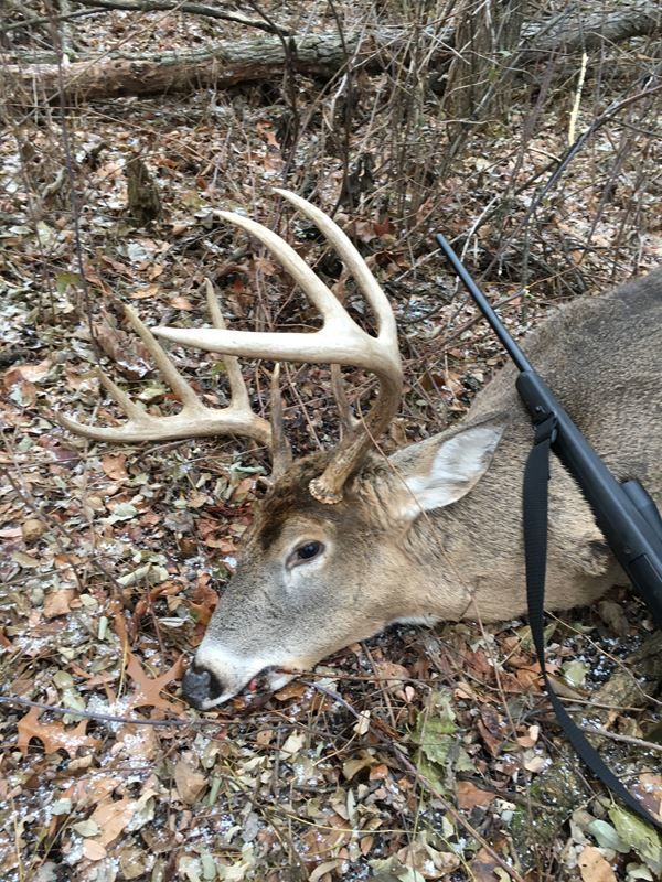 Sunday morning hunt